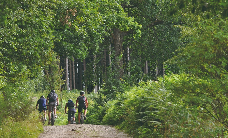 14.500 km de ciclovias em um país com 280 km de extensão.