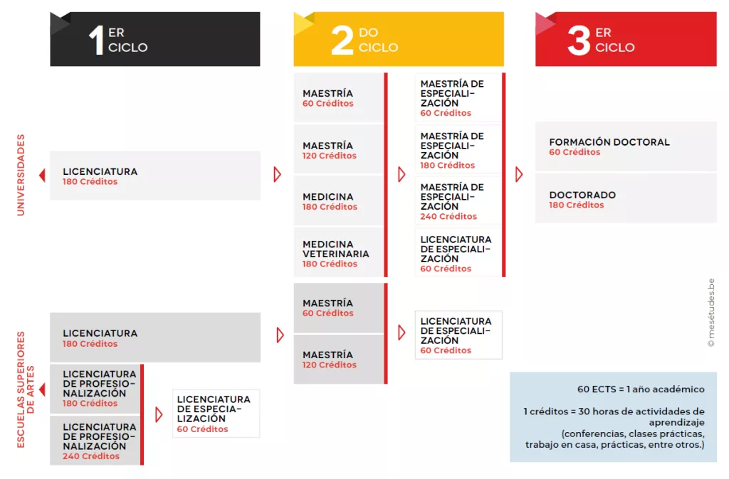 Ciclo